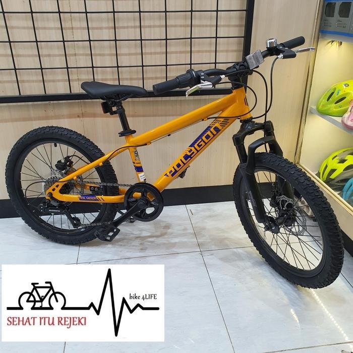 Jual Sepeda MTB Polygon Maze 20 1x7 Speed | Shopee Indonesia