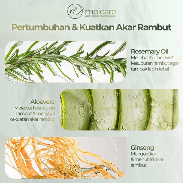 Jual Paket Moicare Minyak Kemiri + Shampoo - Haircare Penumbuh Rambut ...