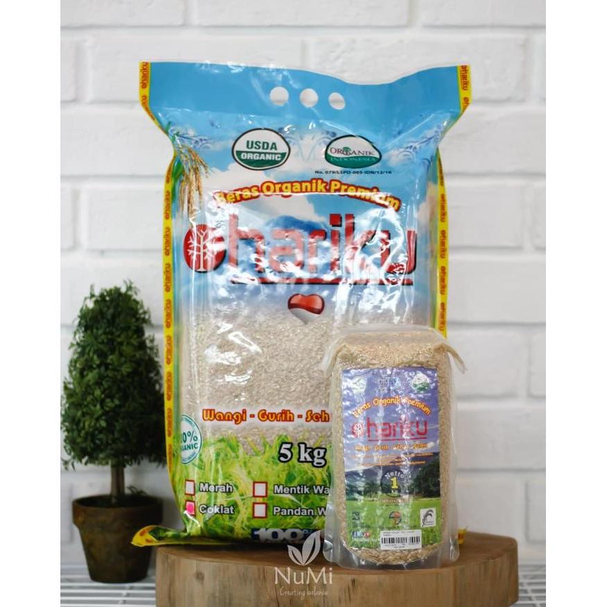 Jual 5kg Organic Brown Rice Beras Cokelat Beras Coklat Organik HARIKU ...