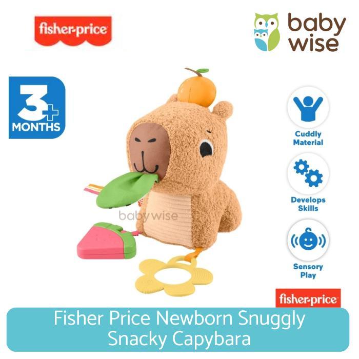 Jual Fisher Price Newborn Snuggly Snacky Capybara - Mainan Boneka Anak ...