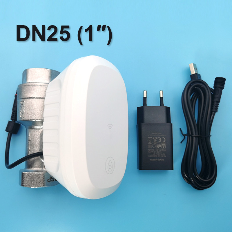 Jual Tuya Smart Wifi Water Vae Water Flow Rate Water Meter Support Hot ...