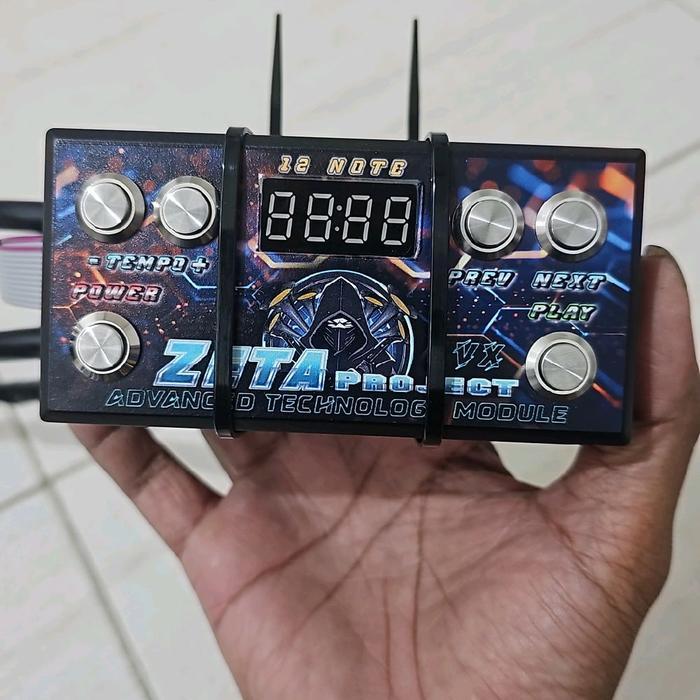 Jual Modul Basuri ZETA PROJECT full nada 12 note | Shopee Indonesia