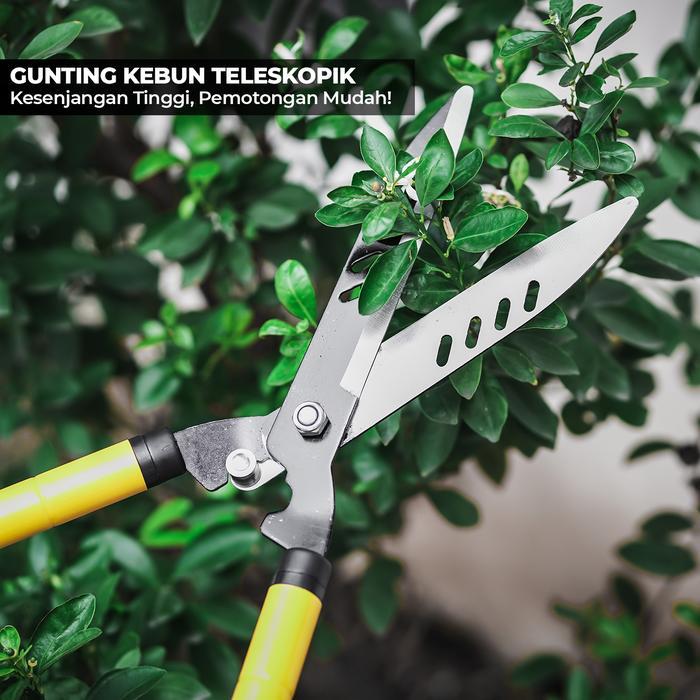 Jual * ALLEFIX Gunting Tanaman 72CM Gunting Rumput Gunting Teleskopik ...