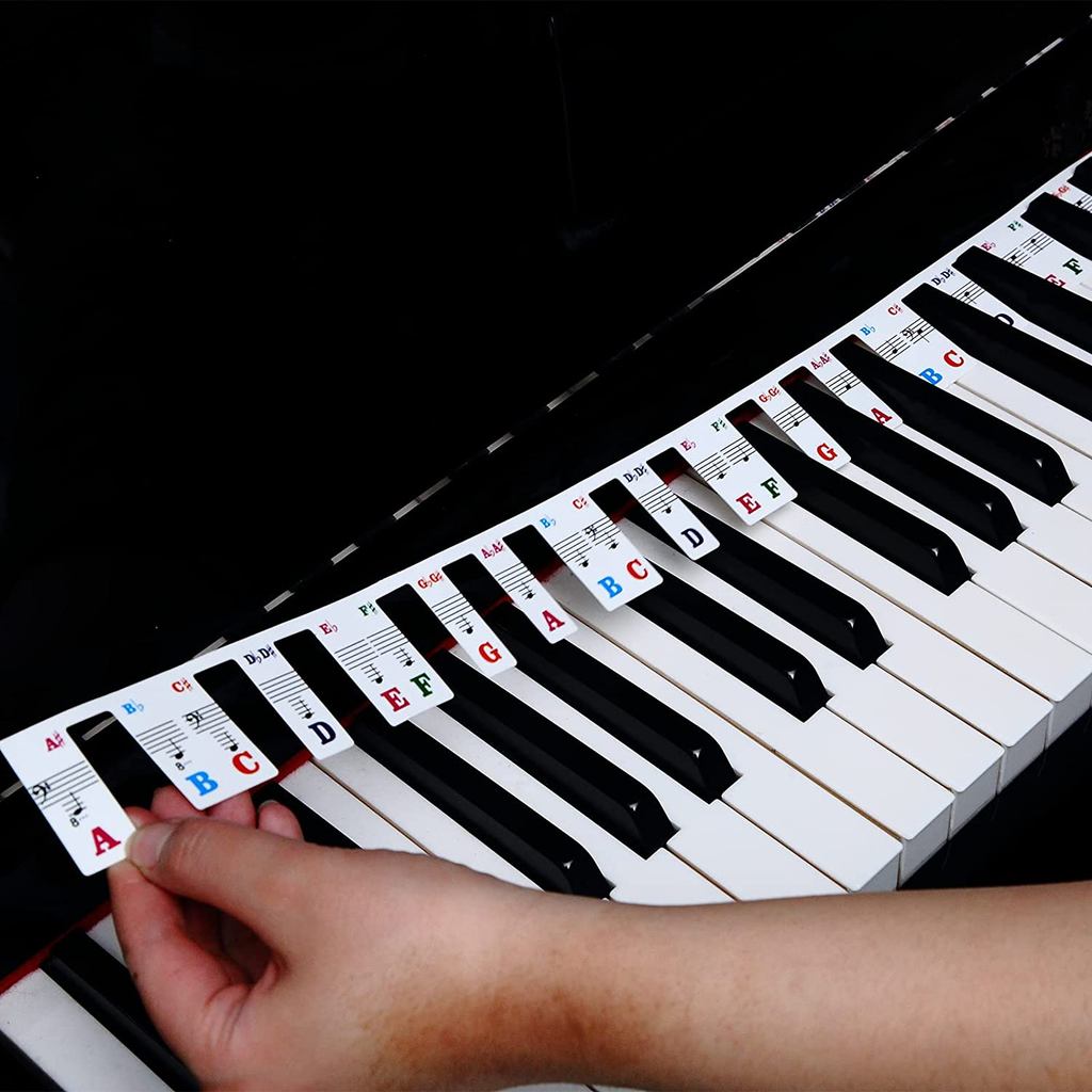 Jual BEST SELLER Piano Key Stickers for Beginners Kids 61/88 Full-Size ...