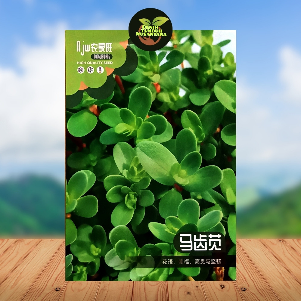 Kemasan Premium (-+1000 Butir) Biji Benih Tanaman Krokot Herbal | Sayuran Krokot | Portulaca Oleracea Impor