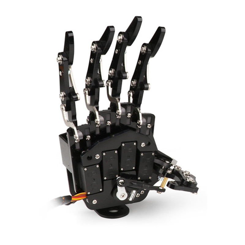 Jual 5 Dof Robot Hand-Finger Humanoid Bionic Mechanical Manipulator ...
