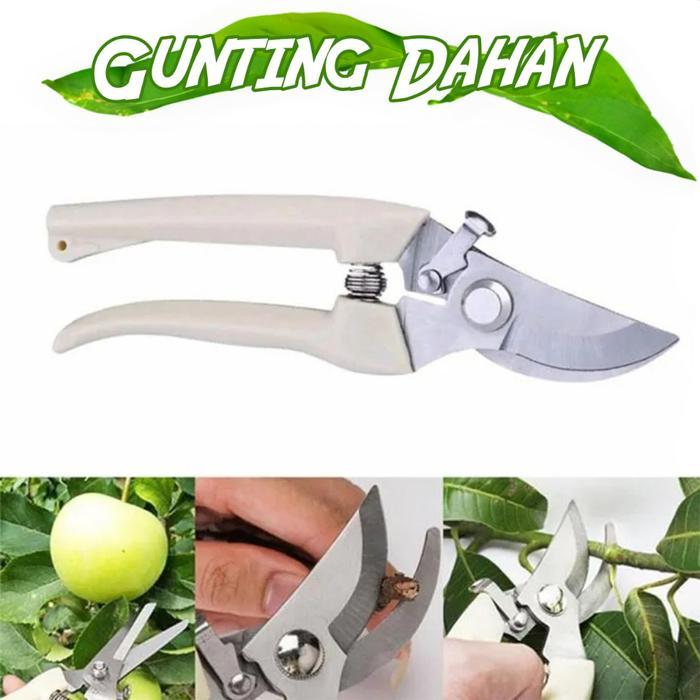Jual Gunting Dahan Batang Ranting Kebun Taman Daun Buah Lengkung Bunga ...