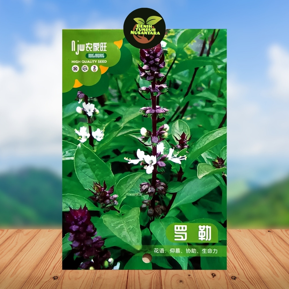 Kemasan Premium (-+1000 Butir) Biji Benih Sayuran Kemangi Thailand | Thai Basil  Impor