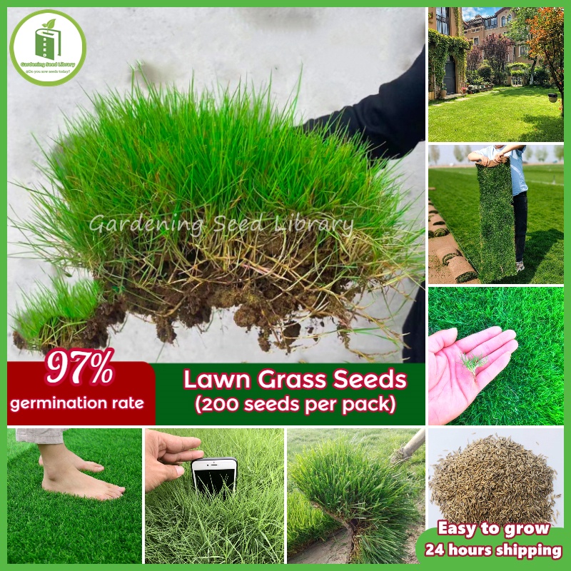 Jual Selalu Ready Stock Biji Lawn Seeds Paket Benih Bunga Aneka